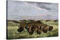 Stretched Canvas Print