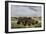 Herd of Bison Crossing a River Bottom on the Great Plains-null-Framed Giclee Print