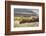 Herd of Bison in Fall, Lamar Valley, Yellowstone National Park, Wyoming-Adam Jones-Framed Photographic Print