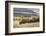 Herd of Bison in Fall, Lamar Valley, Yellowstone National Park, Wyoming-Adam Jones-Framed Photographic Print