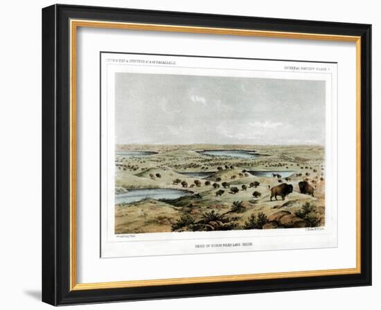 Herd of Bison Near Lake Jessie, North Dakota, USA, 1856-John Mix Stanley-Framed Giclee Print