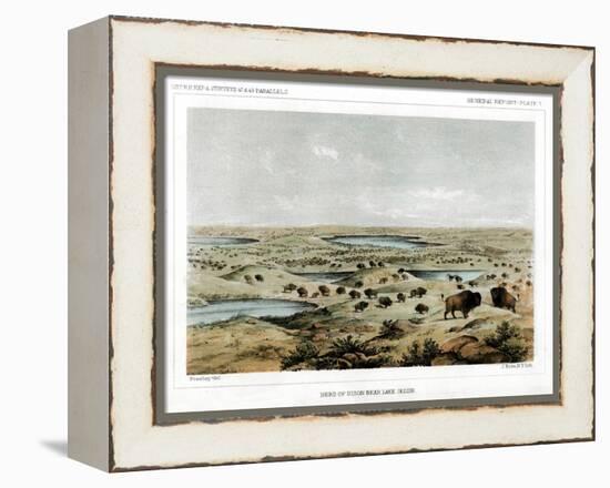 Herd of Bison Near Lake Jessie, North Dakota, USA, 1856-John Mix Stanley-Framed Premier Image Canvas