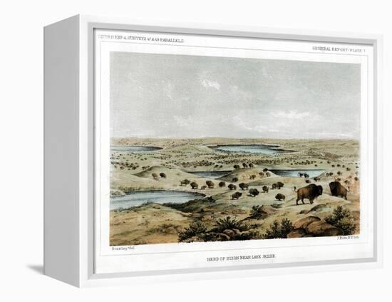 Herd of Bison Near Lake Jessie, North Dakota, USA, 1856-John Mix Stanley-Framed Premier Image Canvas