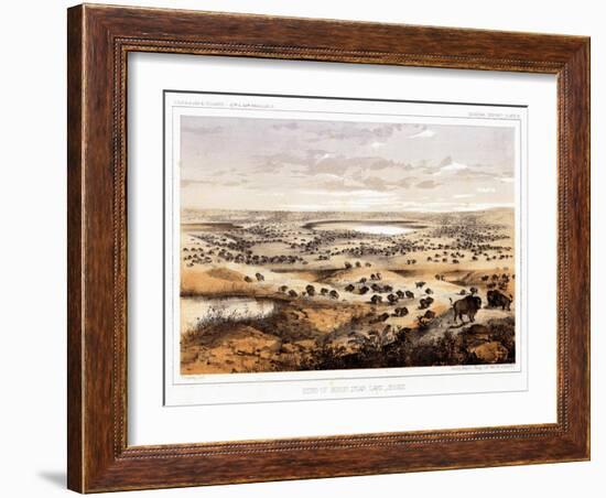 Herd of Bison Near Lake Jessie-Thomas H. Ford-Framed Giclee Print