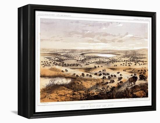 Herd of Bison Near Lake Jessie-Thomas H. Ford-Framed Premier Image Canvas