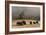 Herd of Bison, Old Faithful Geyser Upper Geyser Basin, Yellowstone National Park, Wyoming-Adam Jones-Framed Photographic Print