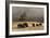 Herd of Bison, Old Faithful Geyser Upper Geyser Basin, Yellowstone National Park, Wyoming-Adam Jones-Framed Photographic Print