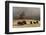 Herd of Bison, Old Faithful Geyser Upper Geyser Basin, Yellowstone National Park, Wyoming-Adam Jones-Framed Photographic Print