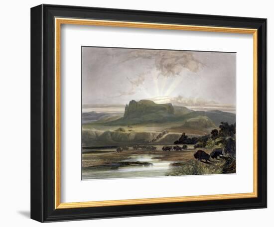 Herd of Bison on the Upper Missouri-Karl Bodmer-Framed Giclee Print