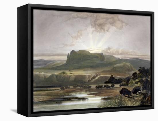 Herd of Bison on the Upper Missouri-Karl Bodmer-Framed Premier Image Canvas