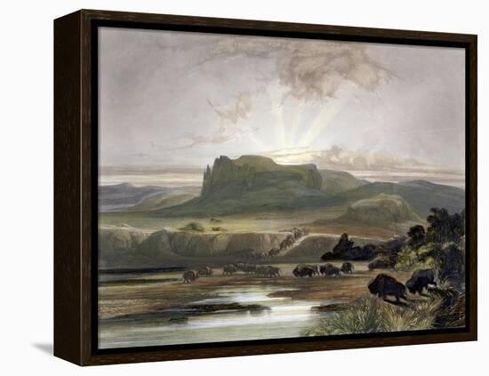 Herd of Bison on the Upper Missouri-Karl Bodmer-Framed Premier Image Canvas