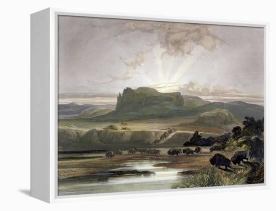 Herd of Bison on the Upper Missouri-Karl Bodmer-Framed Premier Image Canvas