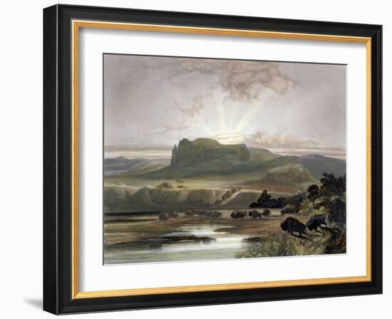 Herd of Bison on the Upper Missouri-Karl Bodmer-Framed Giclee Print