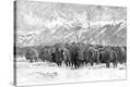 Stretched Canvas Print