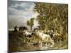 Herd of Cows at a Drinking Pool-Charles Emile Jacque-Mounted Giclee Print
