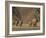 Herd of Desert-Dwelling Elephant, Namibia, Africa-Milse Thorsten-Framed Photographic Print