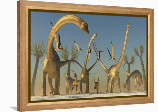 Herd of Diplodocus Dinosaurs-null-Framed Stretched Canvas