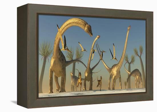 Herd of Diplodocus Dinosaurs-null-Framed Stretched Canvas