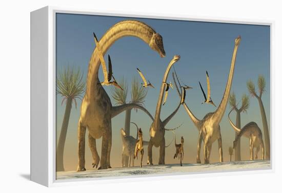 Herd of Diplodocus Dinosaurs-null-Framed Stretched Canvas