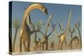 Stretched Canvas Print
