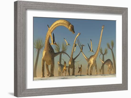 Herd of Diplodocus Dinosaurs-null-Framed Art Print