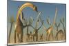 Herd of Diplodocus Dinosaurs-null-Mounted Art Print