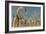 Herd of Diplodocus Dinosaurs-null-Framed Art Print