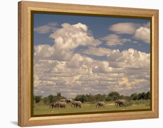 Herd of Elephants, Etosha National Park, Namibia-Walter Bibikow-Framed Premier Image Canvas