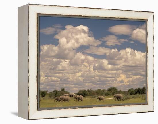 Herd of Elephants, Etosha National Park, Namibia-Walter Bibikow-Framed Premier Image Canvas