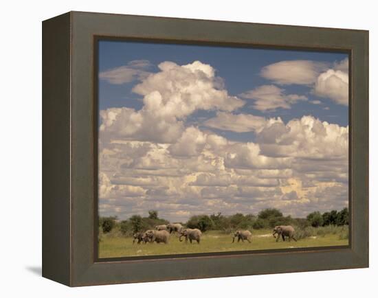 Herd of Elephants, Etosha National Park, Namibia-Walter Bibikow-Framed Premier Image Canvas