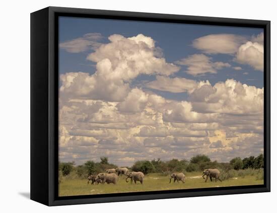 Herd of Elephants, Etosha National Park, Namibia-Walter Bibikow-Framed Premier Image Canvas