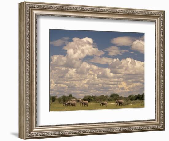 Herd of Elephants, Etosha National Park, Namibia-Walter Bibikow-Framed Photographic Print