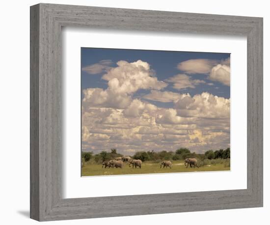 Herd of Elephants, Etosha National Park, Namibia-Walter Bibikow-Framed Photographic Print