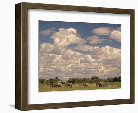 Herd of Elephants, Etosha National Park, Namibia-Walter Bibikow-Framed Photographic Print