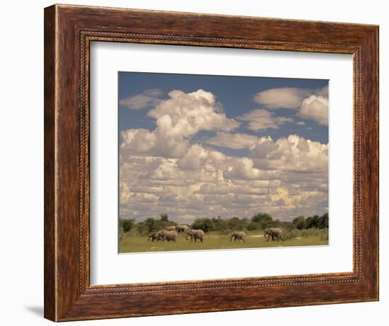 Herd of Elephants, Etosha National Park, Namibia-Walter Bibikow-Framed Photographic Print