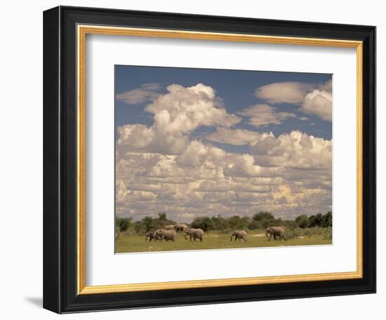 Herd of Elephants, Etosha National Park, Namibia-Walter Bibikow-Framed Photographic Print