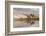 Herd of Elk and reflection, Canary Spring, Yellowstone National Park, Montana, Wyoming-Adam Jones-Framed Photographic Print