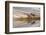 Herd of Elk and reflection, Canary Spring, Yellowstone National Park, Montana, Wyoming-Adam Jones-Framed Photographic Print