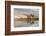 Herd of Elk and reflection, Canary Spring, Yellowstone National Park, Montana, Wyoming-Adam Jones-Framed Photographic Print