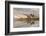 Herd of Elk and reflection, Canary Spring, Yellowstone National Park, Montana, Wyoming-Adam Jones-Framed Photographic Print