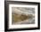 Herd of Elk and Reflection, Canary Spring, Yellowstone National Park, Wyoming-Adam Jones-Framed Photographic Print