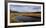 Herd of Elk (Cervus canadensis) at riverbank, Yellowstone National Park, Wyoming, USA-Panoramic Images-Framed Photographic Print