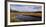 Herd of Elk (Cervus canadensis) at riverbank, Yellowstone National Park, Wyoming, USA-Panoramic Images-Framed Photographic Print