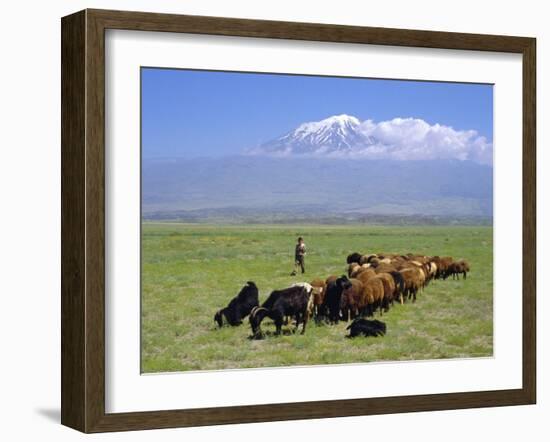 Herd of Goats and Goatherder in the Plains Beneath Mount Ararat, Turkey, Europe-Charles Bowman-Framed Photographic Print