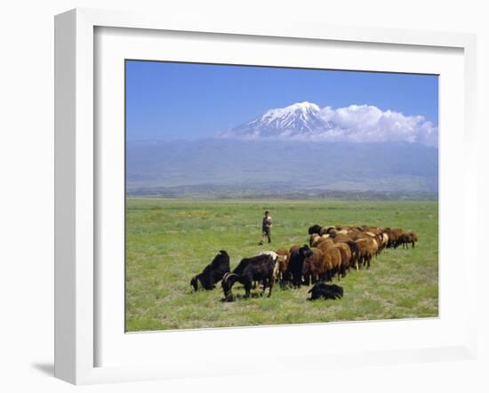 Herd of Goats and Goatherder in the Plains Beneath Mount Ararat, Turkey, Europe-Charles Bowman-Framed Photographic Print