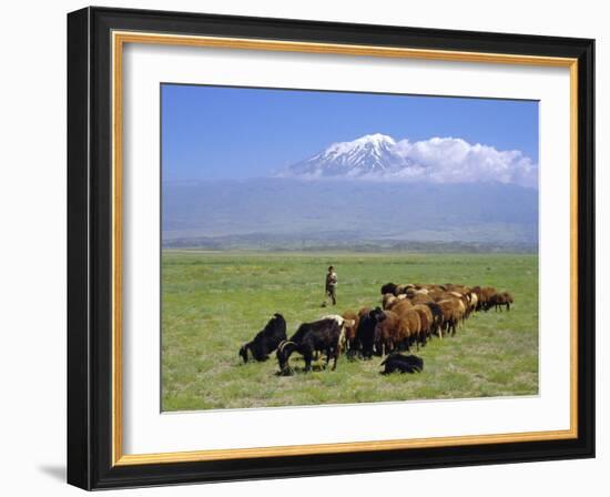 Herd of Goats and Goatherder in the Plains Beneath Mount Ararat, Turkey, Europe-Charles Bowman-Framed Photographic Print