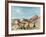 Herd of Goats at Naxos-Richard Seewald-Framed Collectable Print