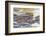 Herd of Hippos Grouped Together, Resting in Water, Sleeping-James Heupel-Framed Photographic Print