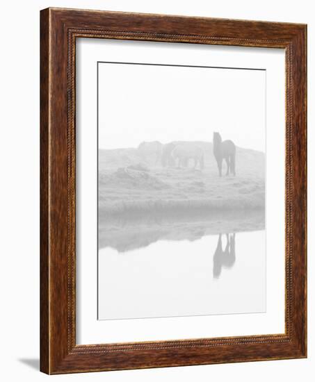 Herd of Horses in the Mist, Iceland-Nadia Isakova-Framed Photographic Print