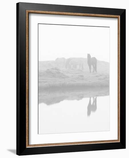 Herd of Horses in the Mist, Iceland-Nadia Isakova-Framed Photographic Print